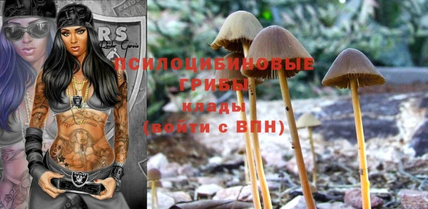 спиды Абаза