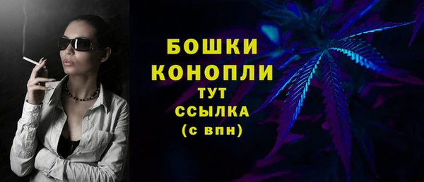 круглые Осинники