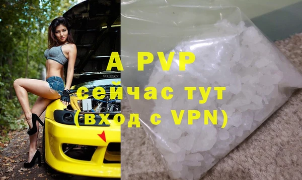 спиды Абаза