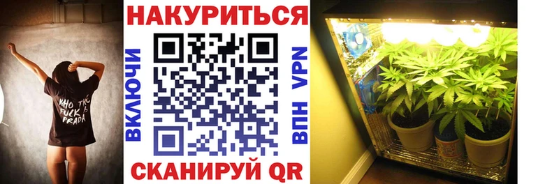 маркетплейс клад  цена наркотик  Людиново  Шишки марихуана тримм 